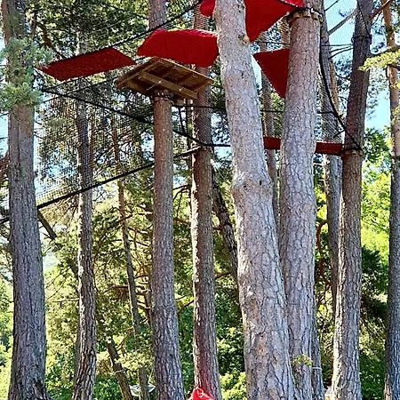 Les ô D'annecy 4* Saint-Jorioz